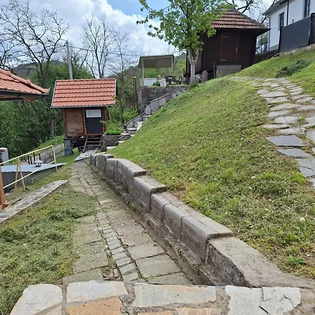 Kojzak *